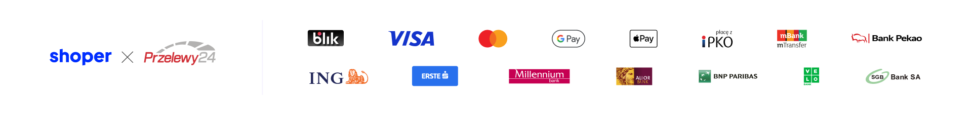 Operator płatności Przelewy24 - obsługiwane metody płatności, w tym Visa i Mastercard
